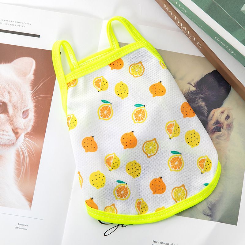 Pet Clothes Cat Bichon French Bulldog Pomeranian Small New Vest Strap Dog Apparel Summer Thin Style_voghion.com