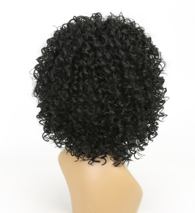 wig African small curly wig Kinky curly wig fluffy explosive wig_voghion.com