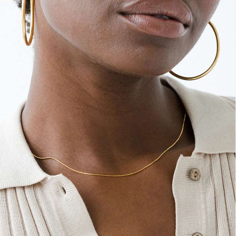 Women's Jewelry Elegant Titanium Steel Choker Necklace Thin Snake Bone Chain Stylish Collarbone Chain For Women In Gold_voghion.com