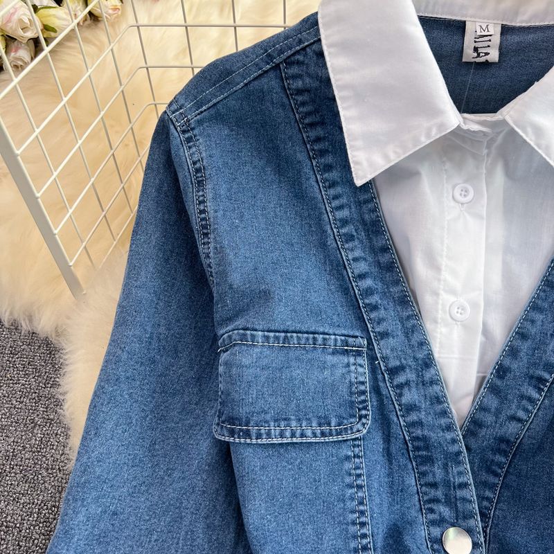 Abbigliamento donna primavera e autunno Nuovo abito-camicia di media lunghezza_voghion.com