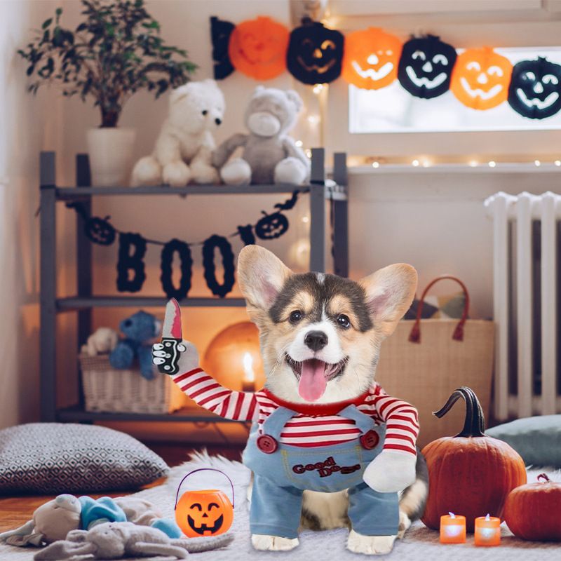 Haustier Teddy Persönlichkeit Lustige Kleidung Transformation Kostüm Internet Berühmtheit Bichon Douyin Kleiner Großer Hund_voghion.com