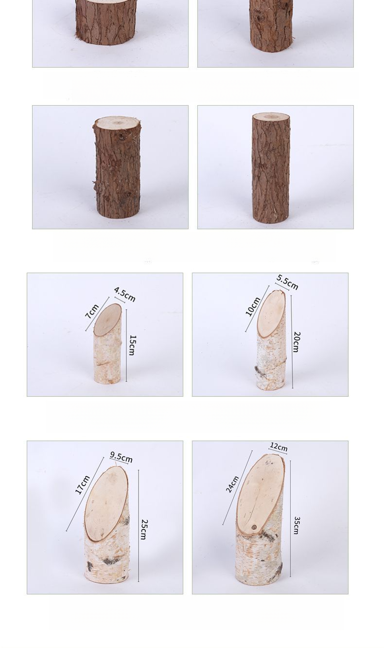 Tronc Segment naturel Souche d'arbre décorative solide Aménagement paysager Bouleau blanc Bois Pile Clôture Barrière Bûche Branche sèche_voghion.com