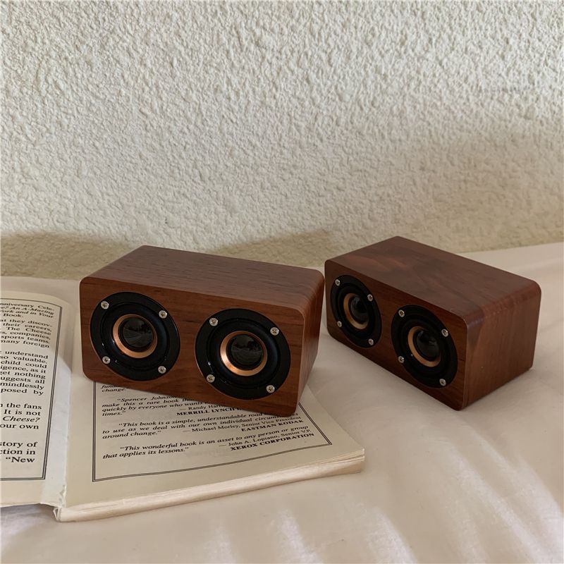 Draadloze draagbare zangstudent met Bluetooth-audio_voghion.com
