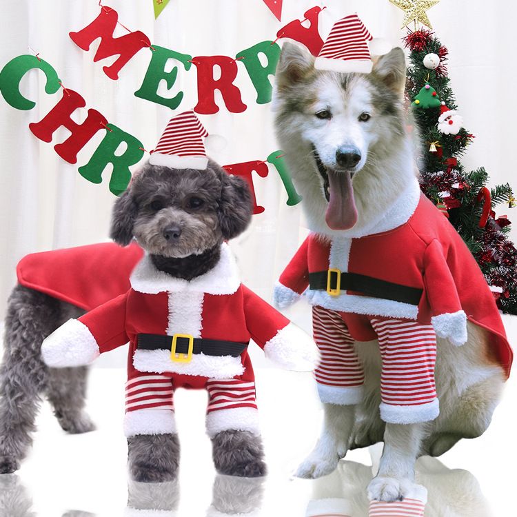Weihnachten Große hund Katze Santa Claus kleidung hund heimtierbedarf pelzigen lustige zwei füße goldene haar transformation_voghion.com