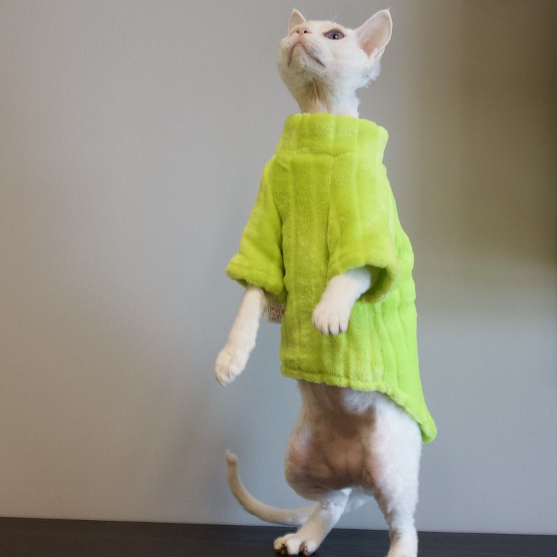 Roupas sem pelos Sphynx Devon Pet Cat Mink Fleece Base Layer Espessada Quente Confortável Resistente a Lambidas Resistente à Sujeira_voghion.com