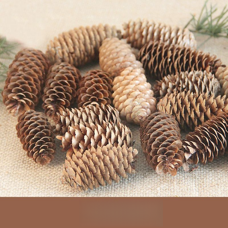 Decoration Pine Cone Acorn Flower Handmade DIY Forest Kindergarten Environmental Creation Dried Branches Wild Creative_voghion.com