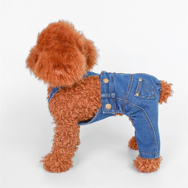 Salopette polyvalente en denim pour le printemps et l'automne, vêtements pour animaux de compagnie, pantalons pour chiens, Teddy_voghion.com