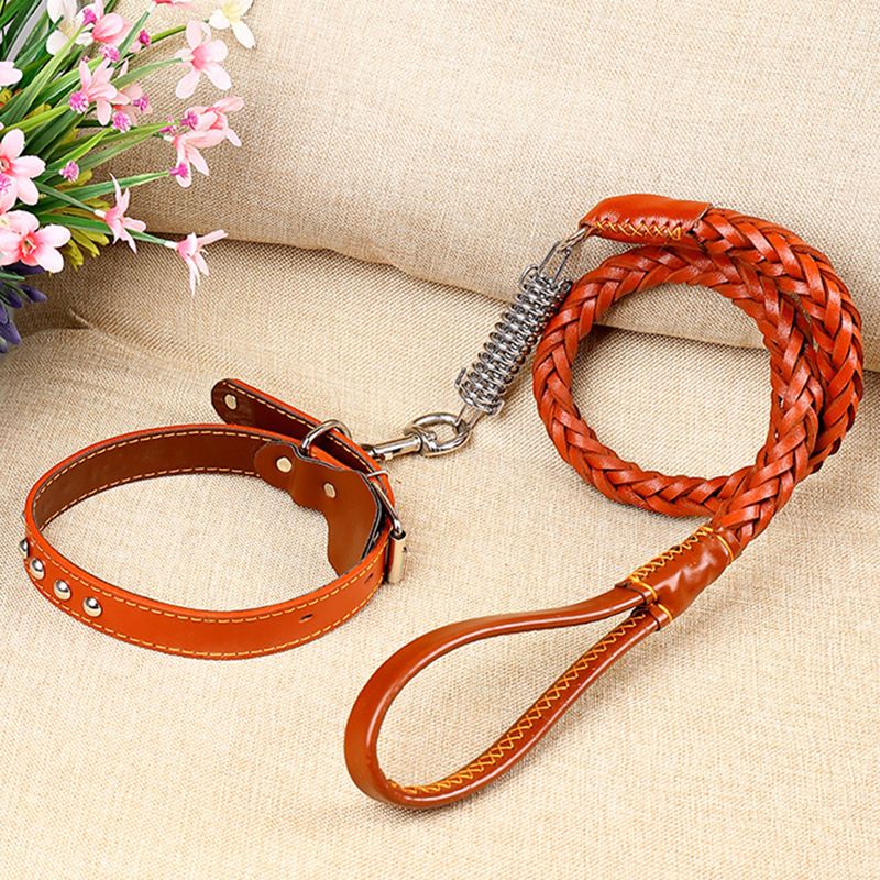 Dog Eight-Strand Cowhide Pet Walking Leash Collar For Medium And Large Dogs Spring Neck Strap Explosion-Proof_voghion.com