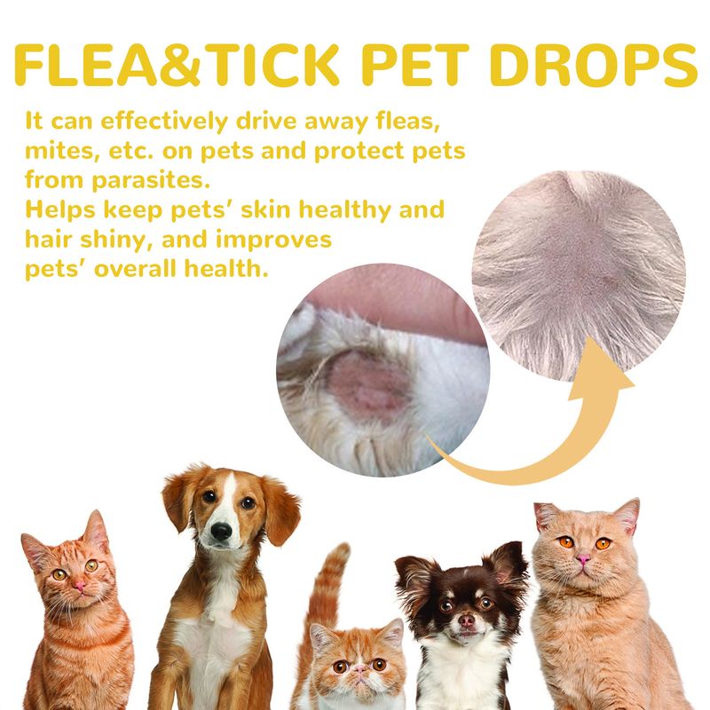 YEGBONG Pet Extracorporeal Insect Repellent Drops, Cat And Dog Cleansing Extracorporeal Flea Lice Tick Skin Anti-Itching Care_voghion.com