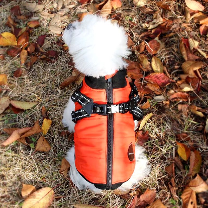 Broschtgeschirr kann Hond Kottengmantel Teddy Kottengmantel Bichon klengen Hond Pomeranian Pudel Hausdéierkleeder Hierscht a Wanterkleeder_voghion.com