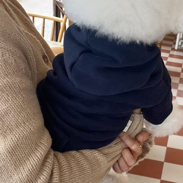 Pawstrip Fleece Hoodies For Dogs By PawParty Store_voghion.com