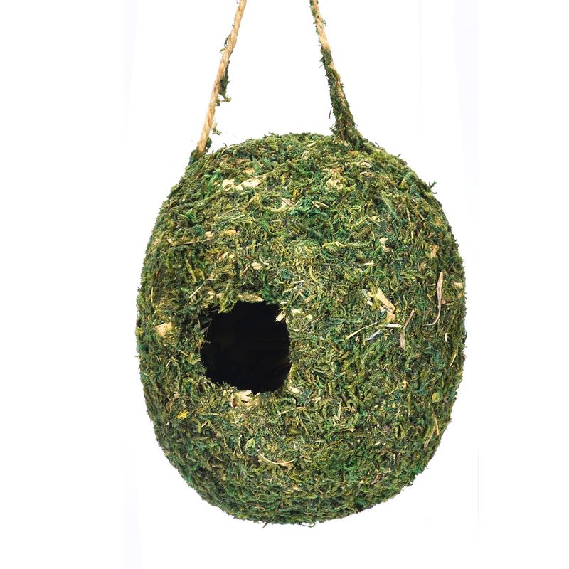 Nuevo producto: encantadora casa decorativa para colibríes, nido creativo colgante de musgo para pájaros._voghion.com