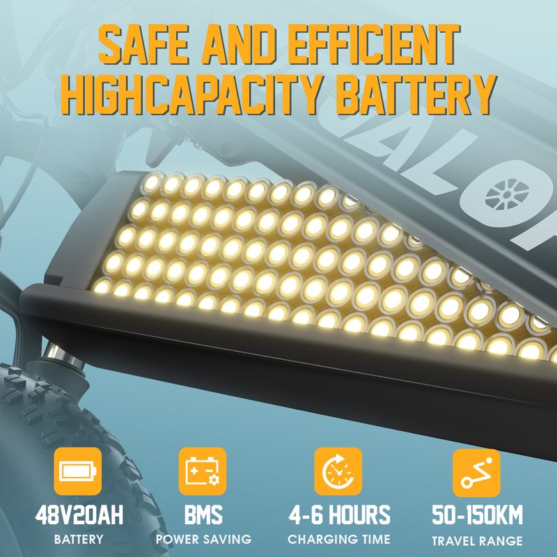 Tifgalop XC20 Electric Bike For Adults, 70NM 250W Motor, 48V 20AH Battery_voghion.com