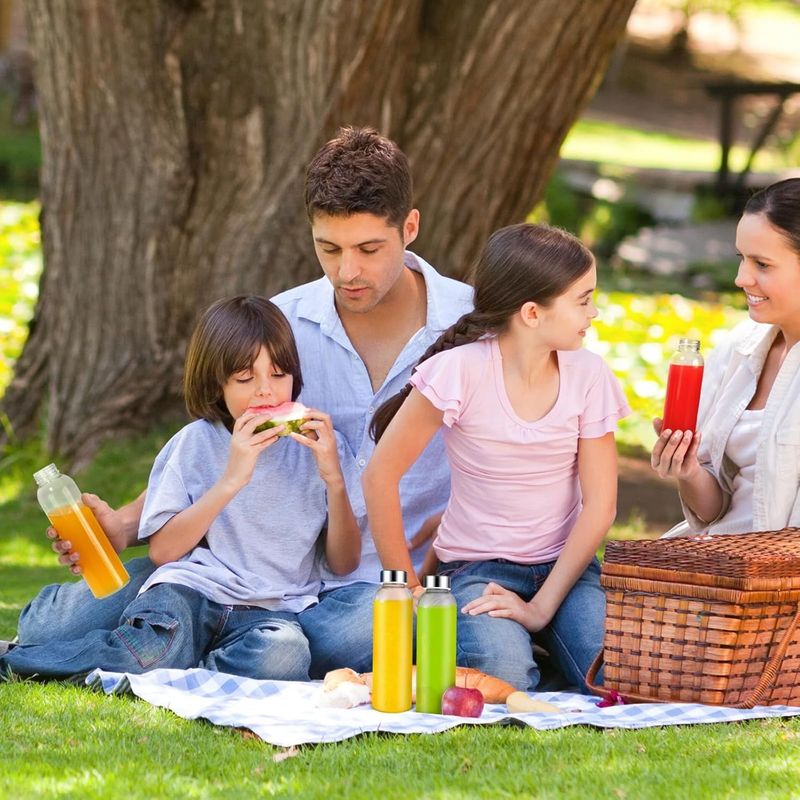 Bottiglia per succo/tazza da tè in vetro borosilicato da 18 once con coperchio a prova di perdite/conservazione per bevande in frigorifero_voghion.com