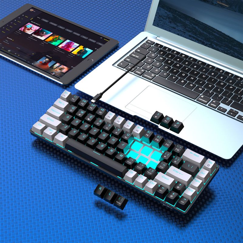 New 68 Key Wired Mechanical Esports Game Keyboard Hot Plug Axis Engineering Dual Color Injection Molding Keycap Ice Blue_voghion.com