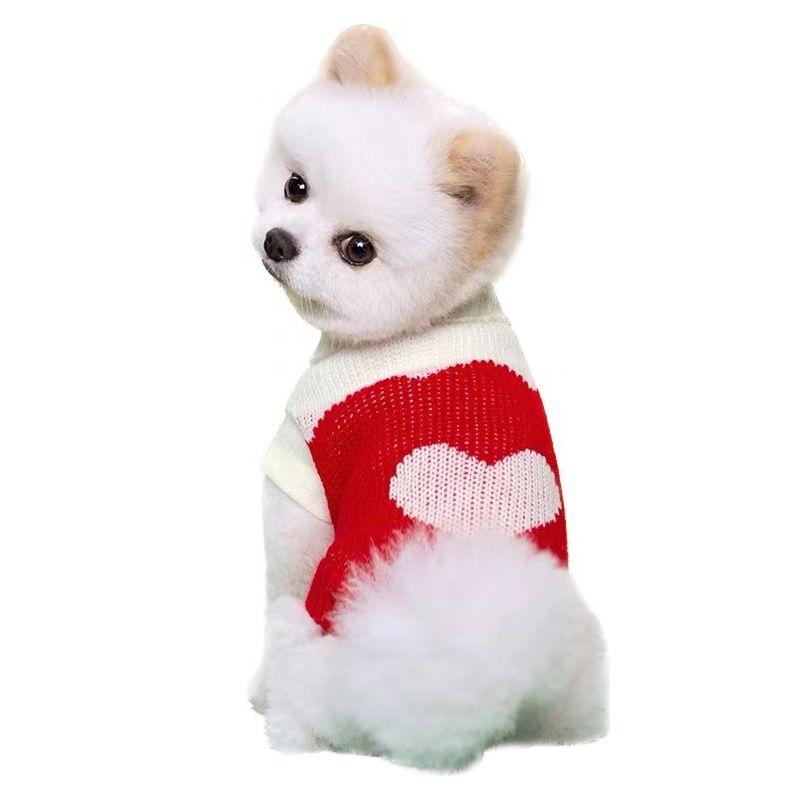 Pull rayé chaud tricoté à deux pattes pour petit chien, vêtement pour chiot, automne et hiver_voghion.com