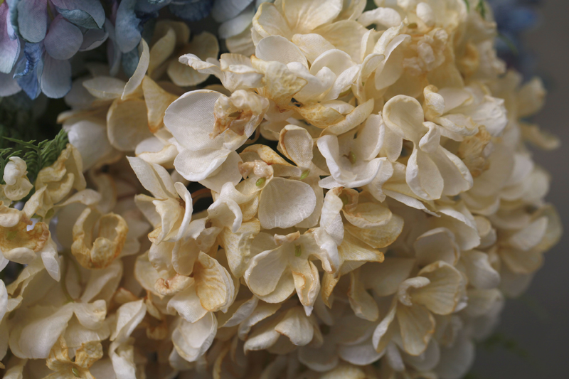 Blummen, grouss Hortensien mat verbranntem Rand, Retro Uelegmolerei, Hochzäitsdekoratioun fir doheem an Hoteler, Blummenkonscht_voghion.com