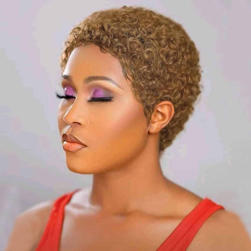Short Afro Kinky Curly Wigs For Black Women Human Hair Wig Pixie Cut Wig Natural Black Color 100% Brazilian Virgin Hair Short Human Hair Curly Wigs_voghion.com