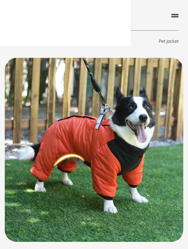 Winter Hund vierbeinigen Baumwollmantel warme Hundekleidung winddichte Welpenkleidung Haustierkleidung_voghion.com