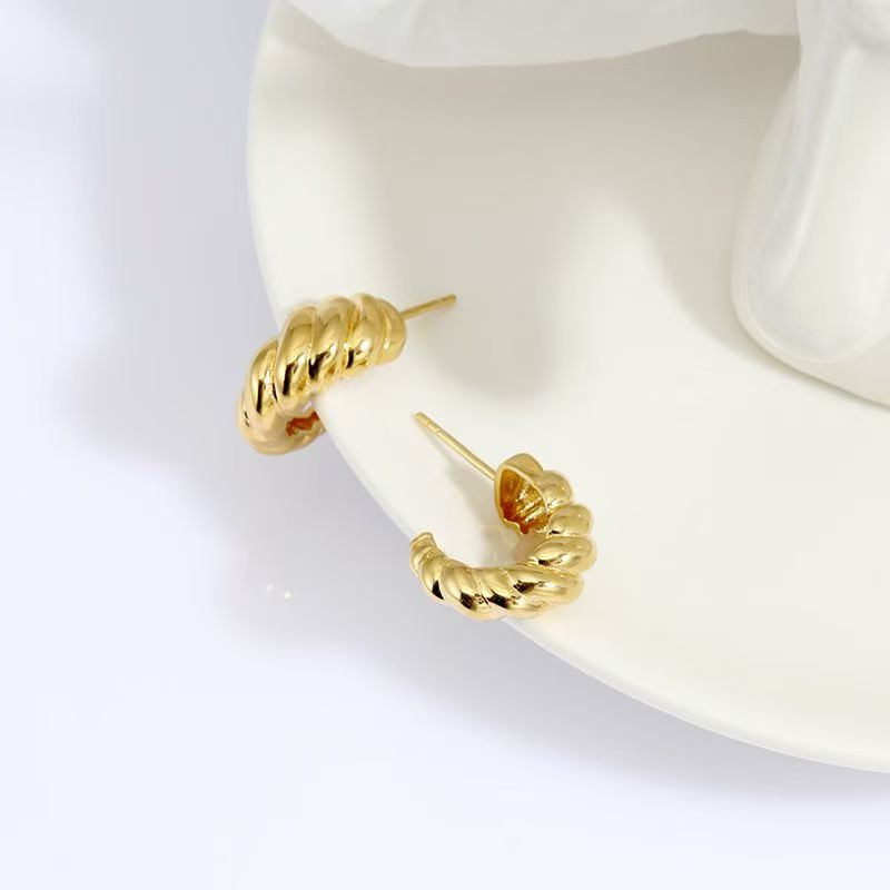 Sterling Sier Plated K Gold Simple Temperament Twist Earrings Women's New Tide Ins_voghion.com