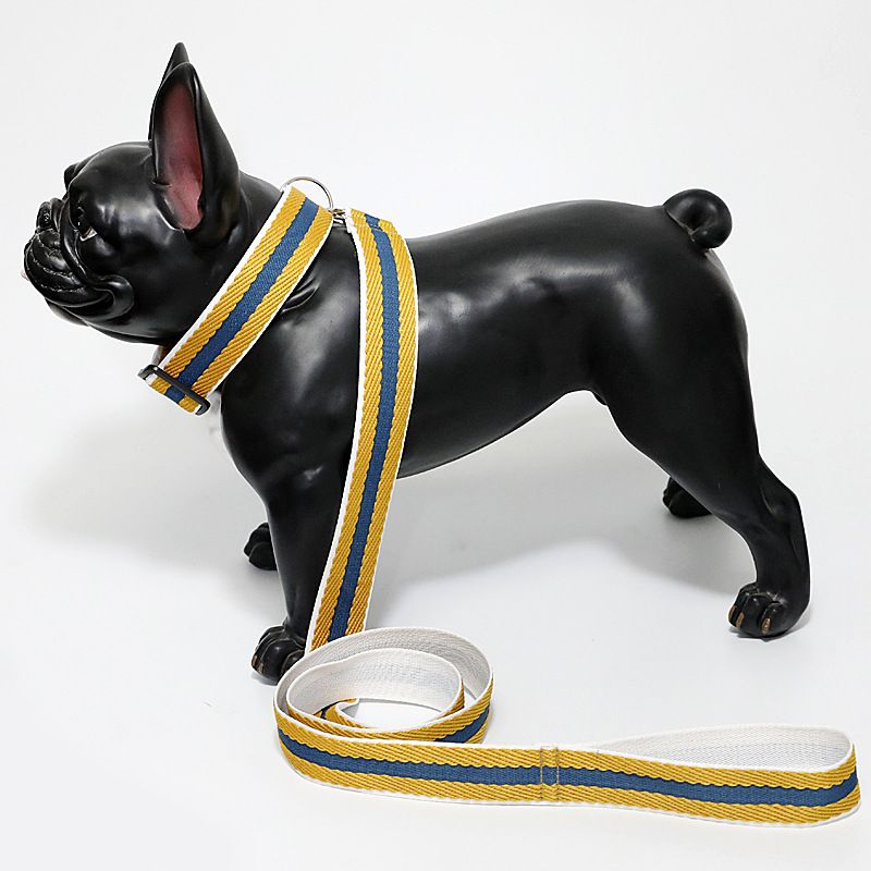 Coleira para passear com animais de estimação para cães pequenos e médios, coleira de espuma de pelúcia, alça de pescoço_voghion.com