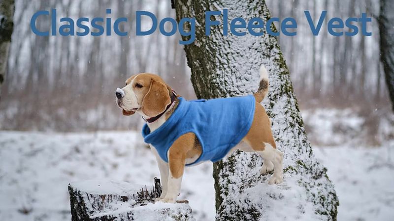 Fleecevest CDDMPET voor honden, koningsblauw van PawParty Store_voghion.com