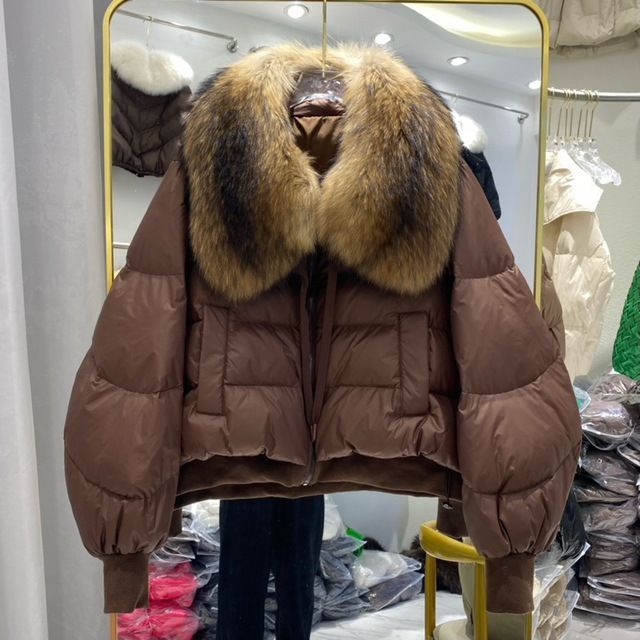 Damenbekleidung Wintermantel Damenmode kurze Daunenjacke Damen High-End-Damen 90 weiße Entendaunen Fuchspelzkragen_voghion.com