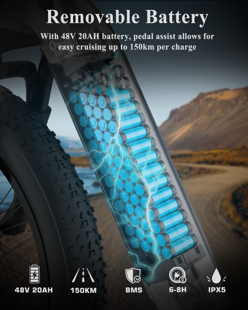 Bicicletta elettrica FREEDARE Eden per adulti con cestino anteriore e controllo GPS tramite app intelligente, batteria da 48 V 20 Ah, sensore di coppia_voghion.com