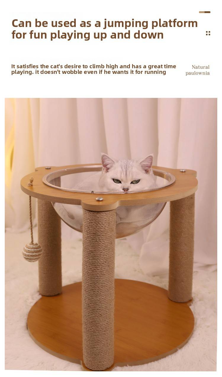 Piccola capsula spaziale in acrilico per gatti, struttura per arrampicata per gatti, tiragraffi per gatti, albero per gatti, cuccia integrata per gatti, tiragraffi per gatti, gabbia per gatti_voghion.com