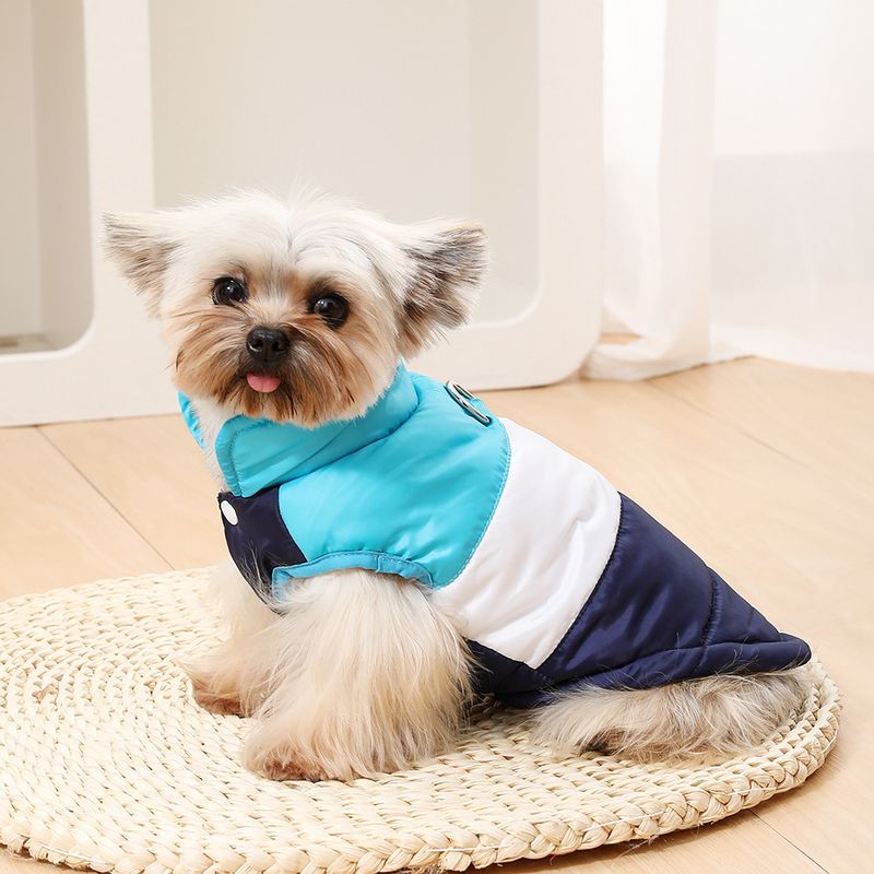 Vêtements en coton pour chien, combinaison de ski chaude et coupe-vent, manteau d'automne et d'hiver pour Golden Retriever et Husky_voghion.com