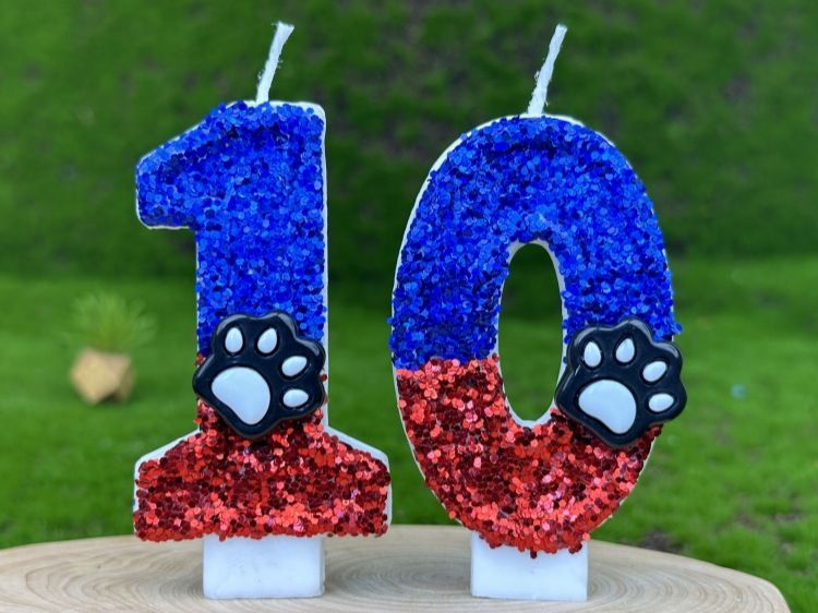 Cat Dog Bear Paw Digital Cake First Birthday Candle_voghion.com