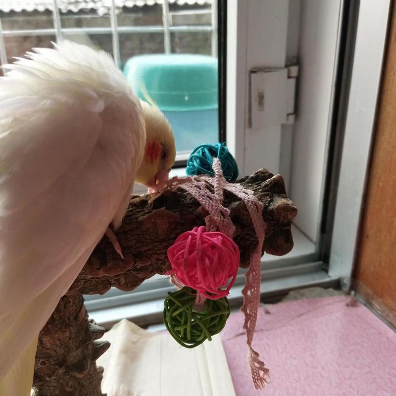 Parrot Relieves Boredom, Self-exciting, Mouth Grinding Toy, Natural Rattan Ball, Training, Chewing, Educational Toy, Grass Ball_voghion.com