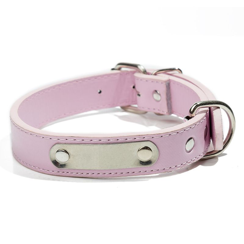 Collare per cani con targhetta identificativa anti-smarrimento per animali domestici in acciaio inossidabile e ferro inciso_voghion.com