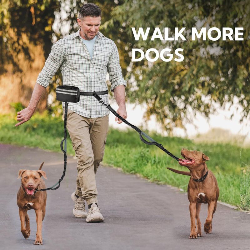 Taška na vodítko pro psy Hands Free s dvojitým popruhem pro dva psy - elastický popruh s dvojitým polstrováním pro ruce_voghion.com