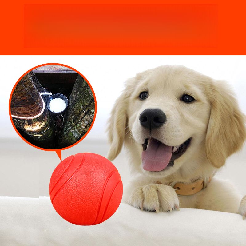 Supplies TPR Solid Elastic Durable Chew Pet Toy Teasing Dog Training Ball_voghion.com