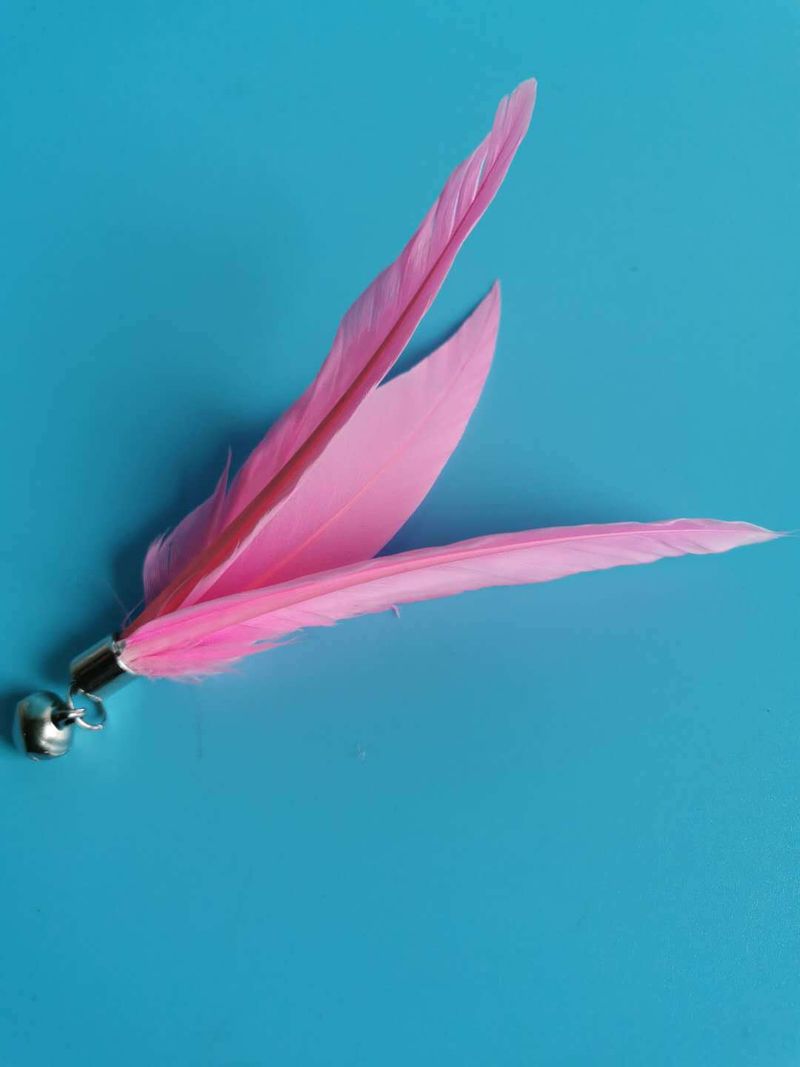 Teaser Wand Pet Cat Toy Bell Feather Replacement Head Best Seller_voghion.com