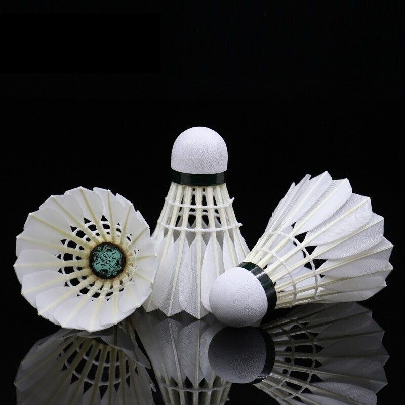 Yashilong Badminton No. Club Competition Training Stable Flight Durable Duck Feather Ball RSL Asia 8_voghion.com