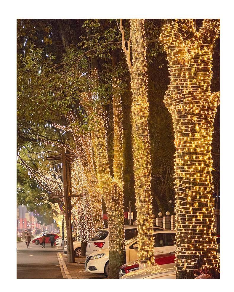 Solar & Electric Powered Fairy String Lights - 800LED Waterproof Outdoor Decorative Lights For Garden, Patio & Events (IP66 Shatterproof)_voghion.com