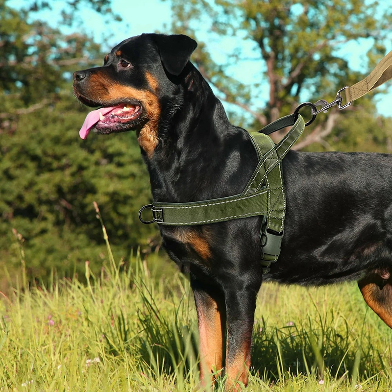 Arnês de treinamento refletivo de nylon durável sem puxar para animais de estimação com alça para cães pequenos, médios e grandes, pastor alemão_voghion.com