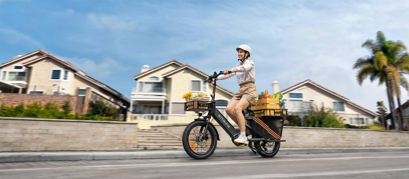 ENGWE LE20 Step-Thru Cargo Ebike 250W Senzor de cuplu Mid-drive Bicicletă electrică 20'' cu baterie dublă 48V 38.4Ah _voghion.com