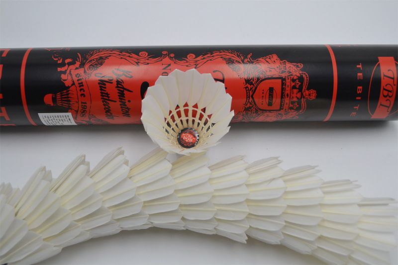 TBT Stable Flight Duurzame 12-Pack Wedstrijd Training Professionele Badminton 7776_voghion.com