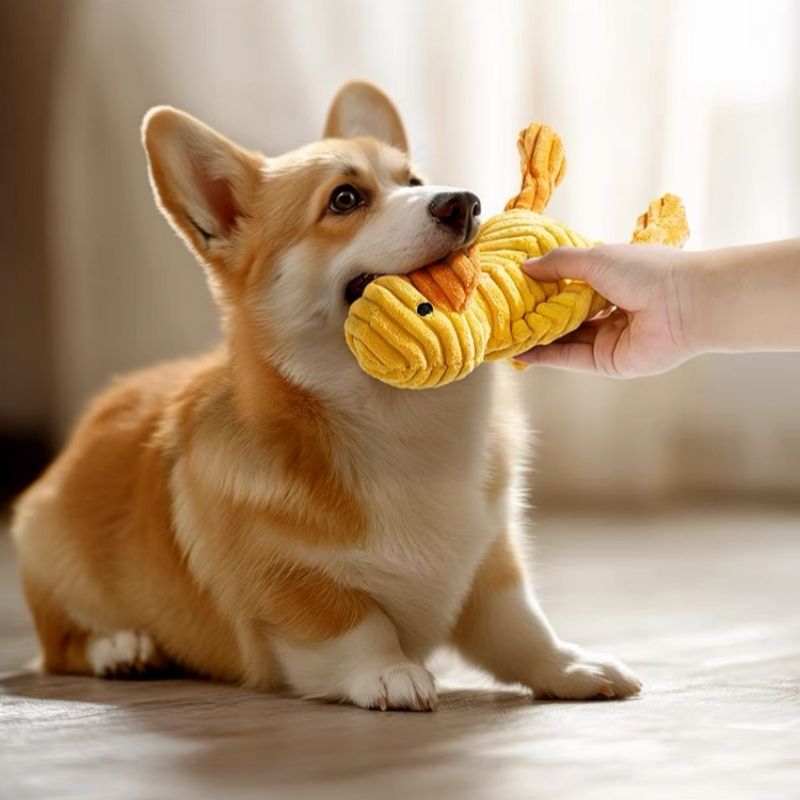 Quietschzubehör aus Samtplüsch, Kau- und Bissfestes Hundespielzeug für Welpen, Haustierzubehör von PawParty Store_voghion.com