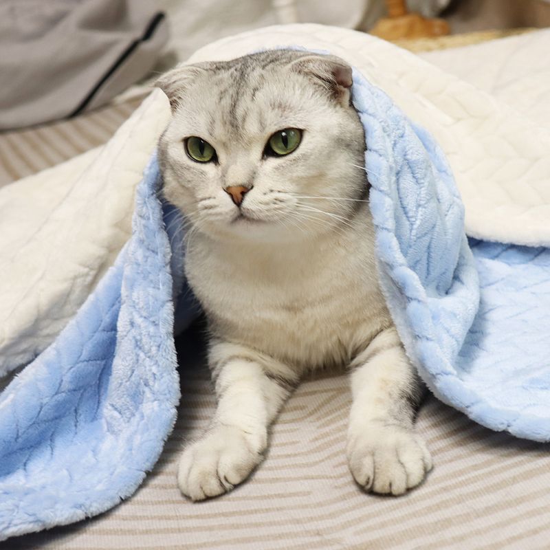 Weizenohr kleine Haustier Katze Nest Matte Hund Wärme Abdeckung Korallen Samt verdickte Decke_voghion.com