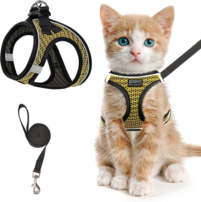 Harness Cat Collar Vest Style Leash Reflective Breathable Dog Rope Pet Supplies_voghion.com
