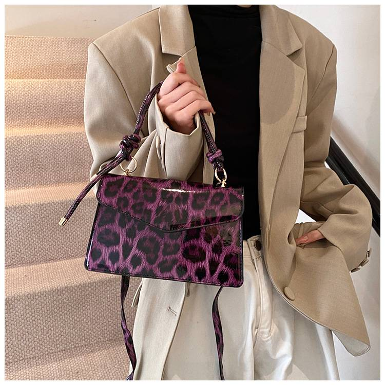 Fashion Handbag Bag Women's New Leopard-print Niche Design One-shoulder Messenger Bag Foreign Commuting Small Square Bag_voghion.com