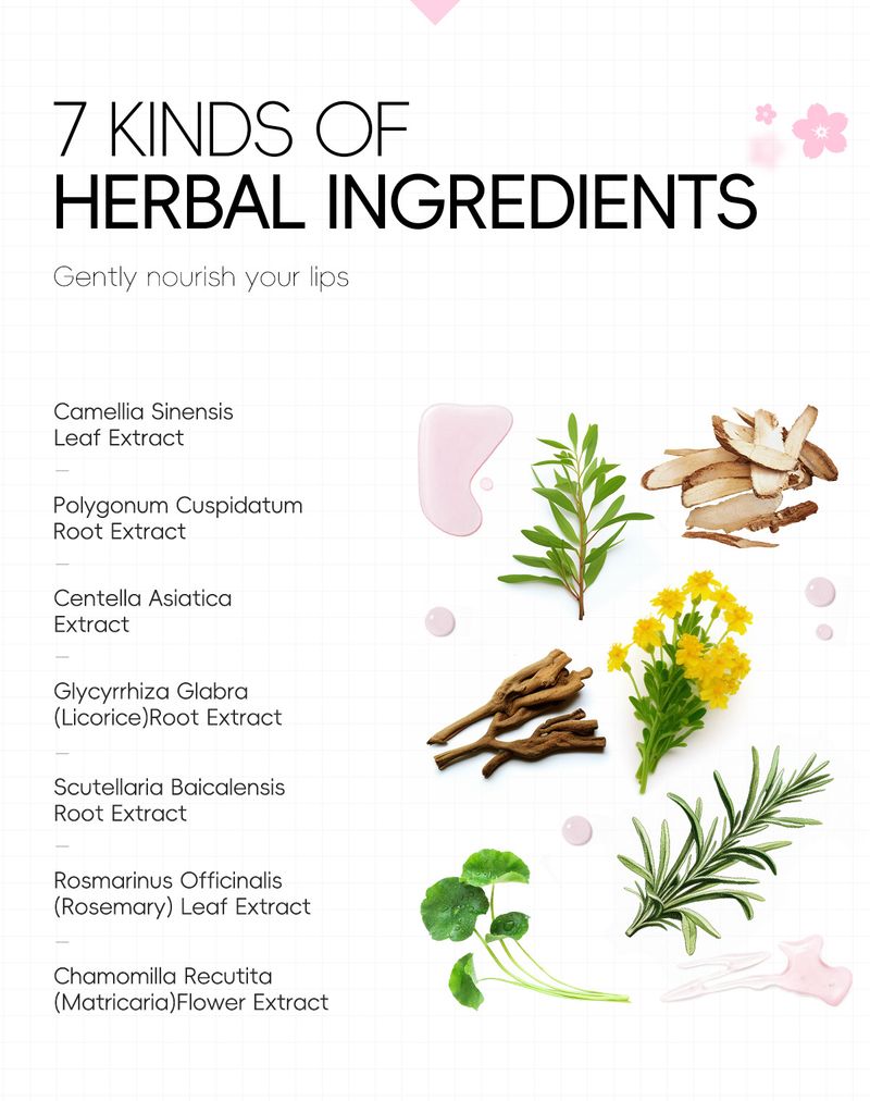 LAIKOU Sakura Lip Mask 6g Moisturizing And Hydrating Lip Cosmetics_voghion.com