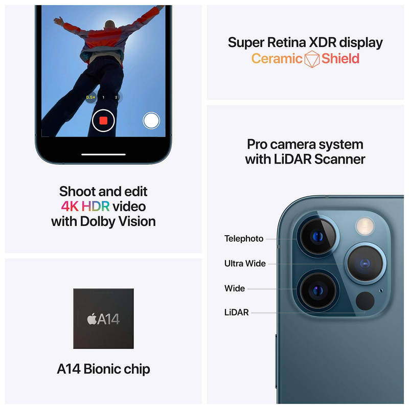 Renovéiert iPhone 12 Pro Max, 128 GB, SIM + ESIM_voghion.com
