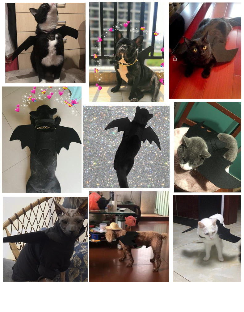 Macska ruhák Halloween kutya jelmezek kisállat ruhák denevérszárnyak harang stílusú_voghion.com