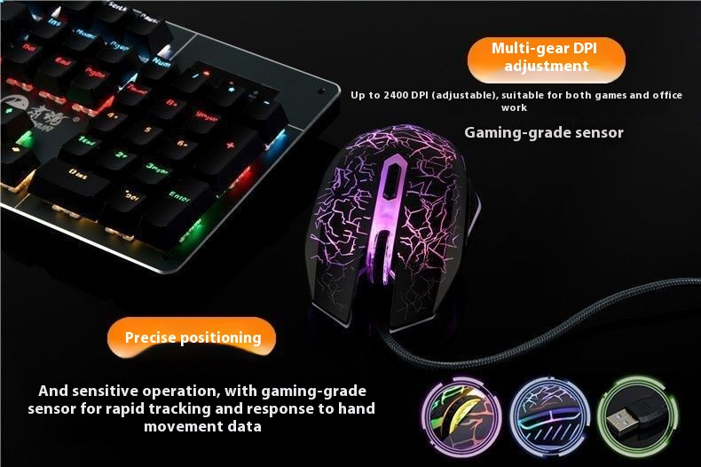 Basic Wired USB Optical Mouse, 3-Button, Plug & Play For PC/Laptop, Office & Home Use (1.5m Cable, Black/White)_voghion.com