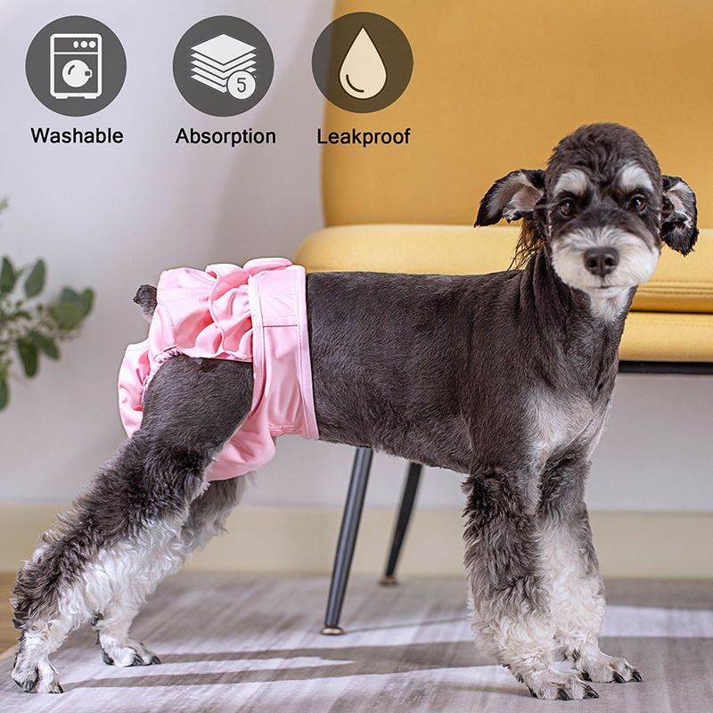 Pañal fisiológico higiénico para perros pequeños y grandes, gatos, ropa interior lavable para la menstruación, pantalones protectores para mascotas de PawParty Store_voghion.com